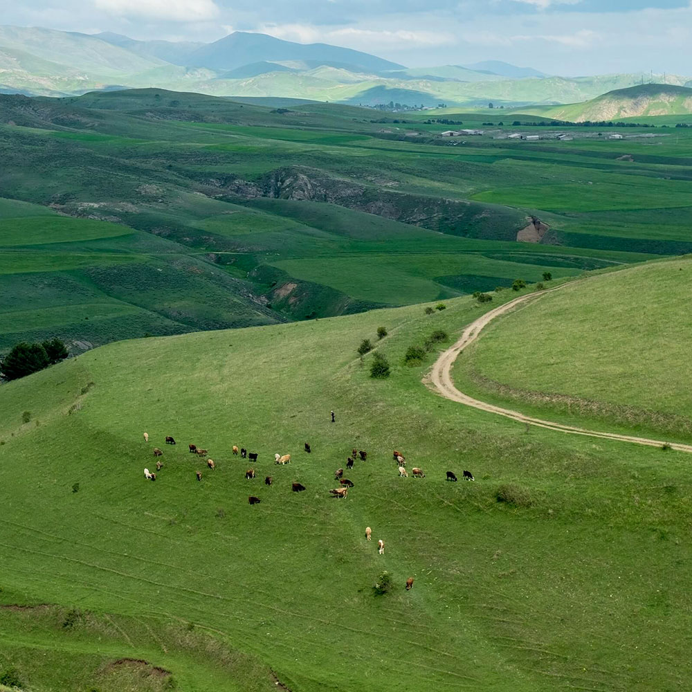 Tour guidato in Armenia - Paesaggi montani dell’Armenia
